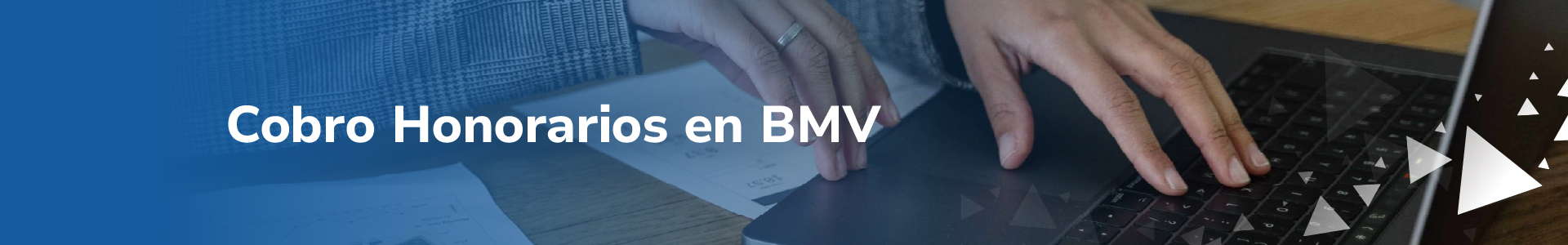 Cobro Honorarios en BMV