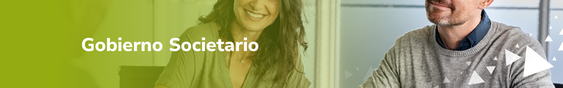 Gobierno Societario