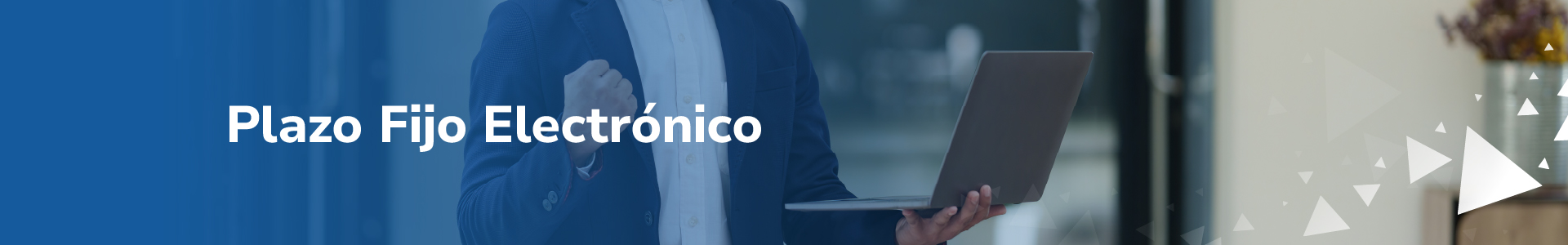 Plazo Fijo Electrónico