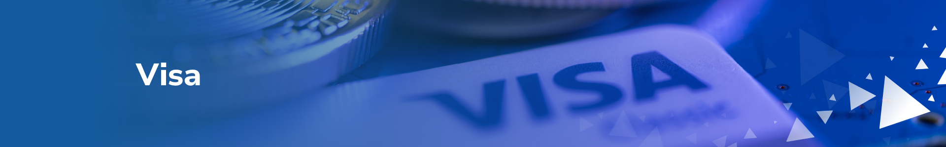 Tarjeta Visa